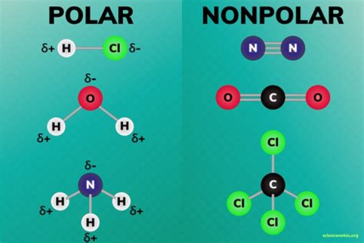 What makes something polar or nonpolar?