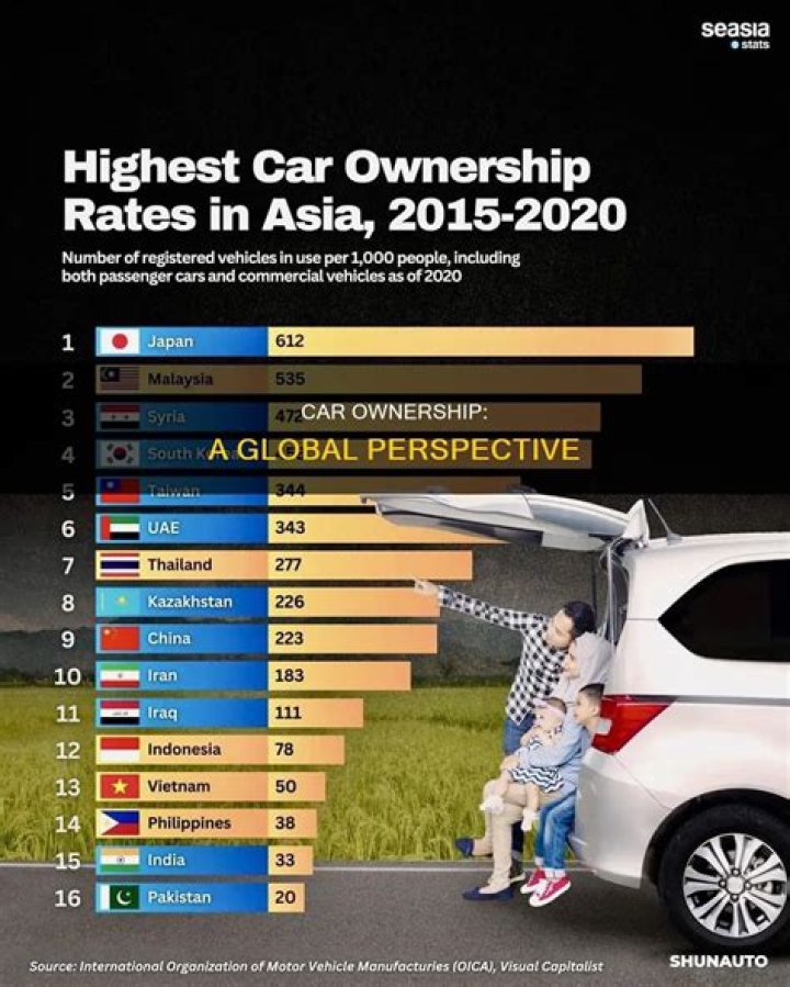 what percent of the world owns a car