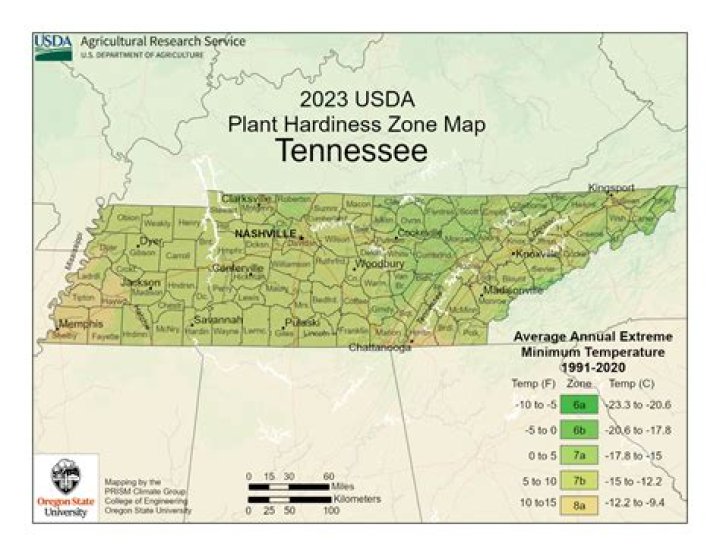 what planting zone is east tennessee