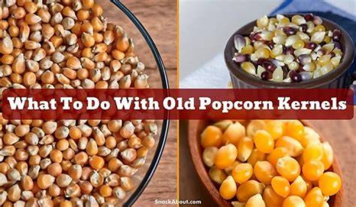 what to do with old popcorn kernels