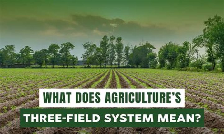 what was a main advantage of the three-field system?