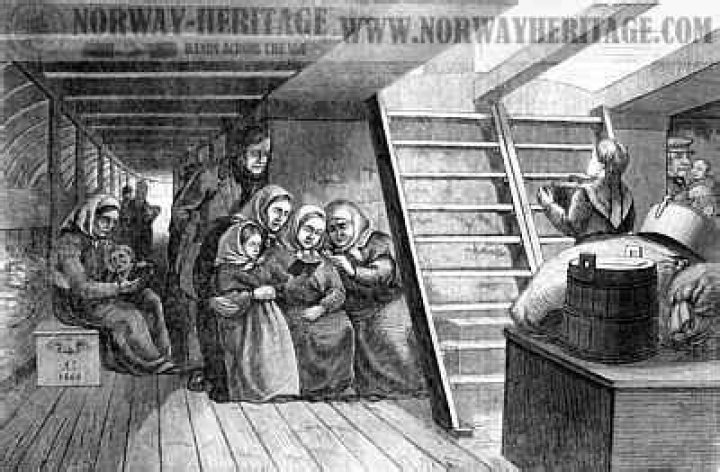 what was steerage