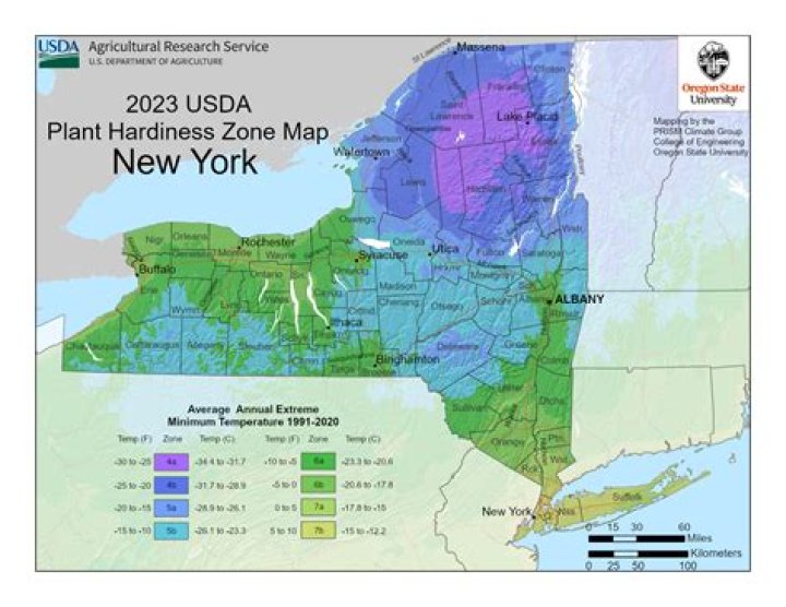 what zone is ny