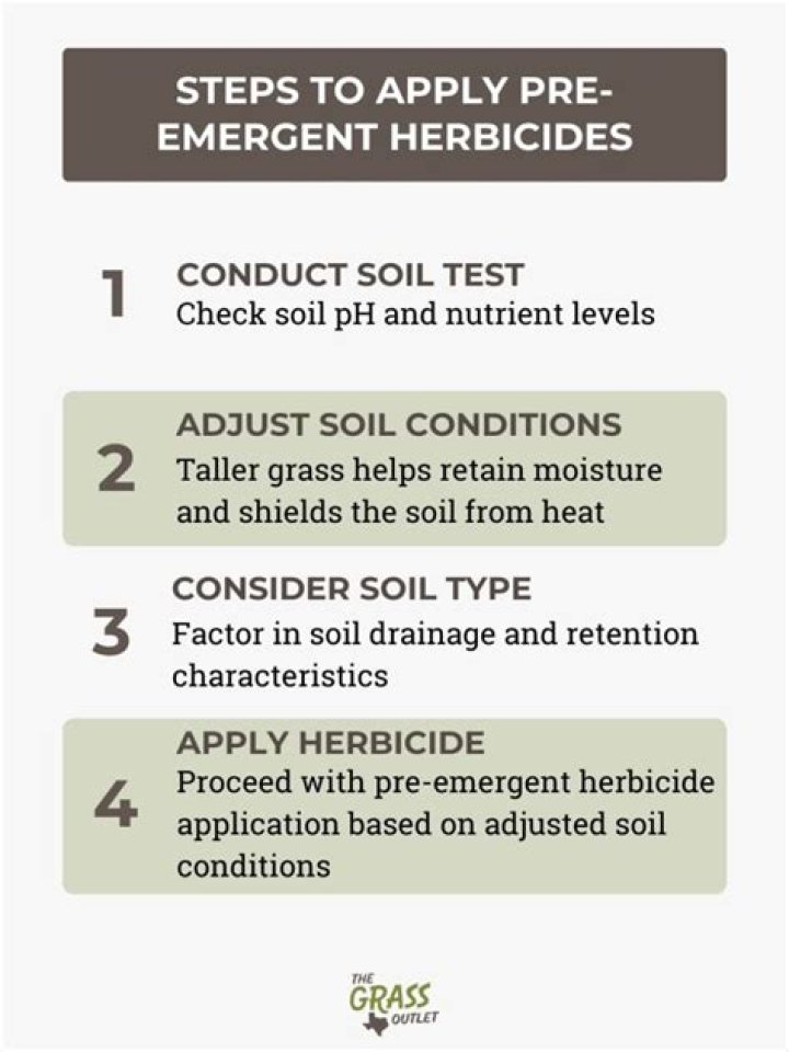 when is it too late to apply pre emergent