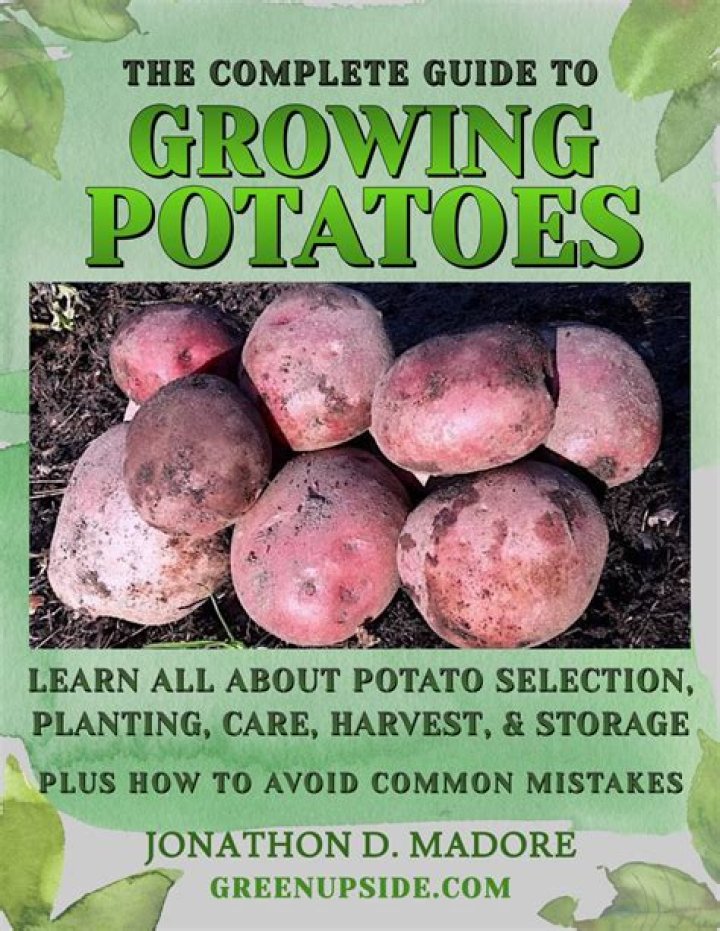 when is it too late to plant potatoes