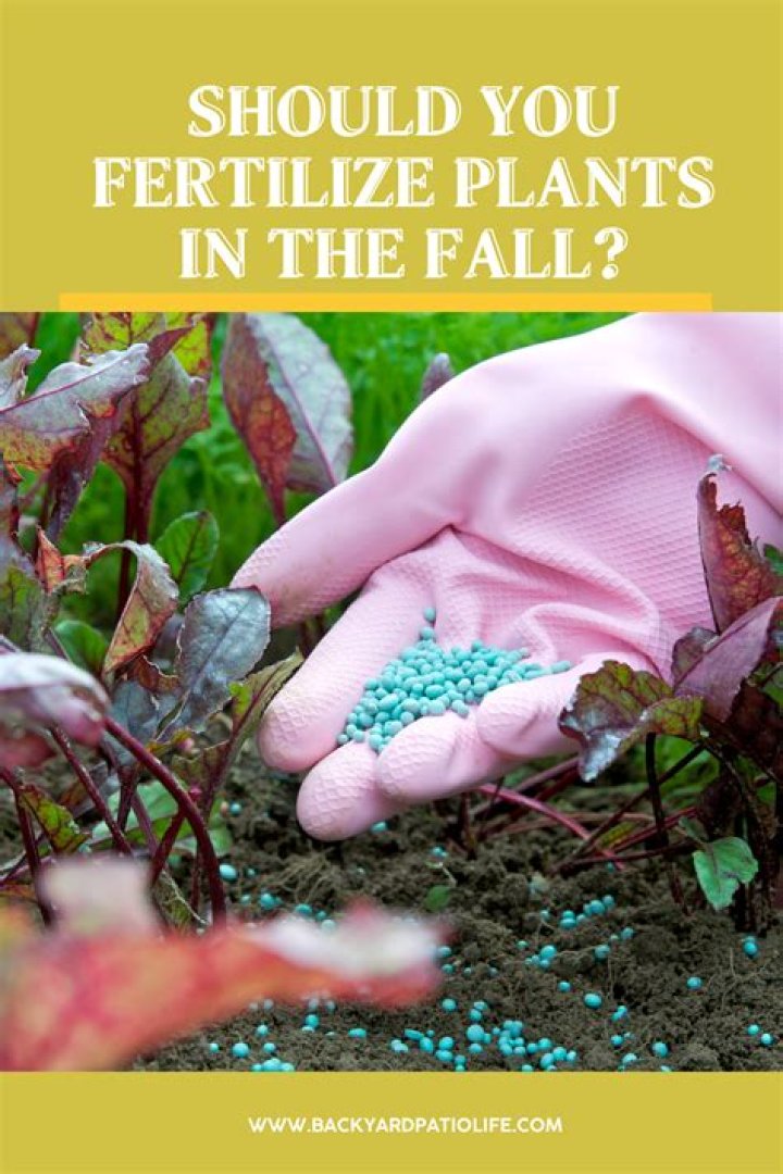 when to fall fertilize in ontario