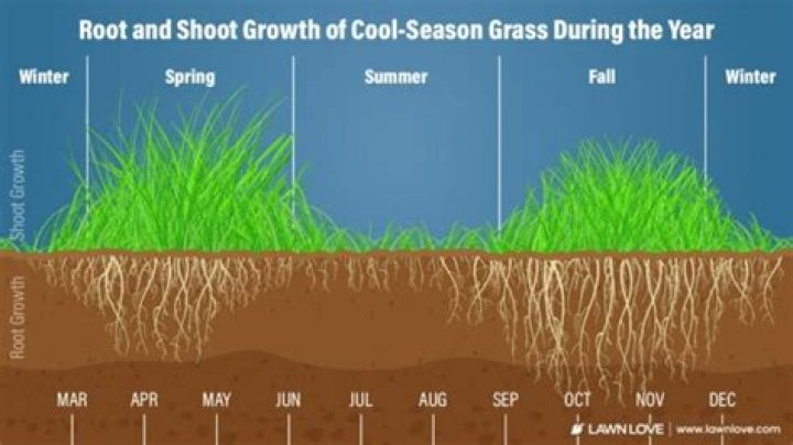 when to plant grass seed in massachusetts