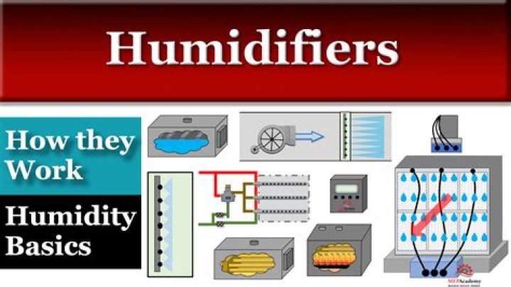 when to turn on humidifier in house