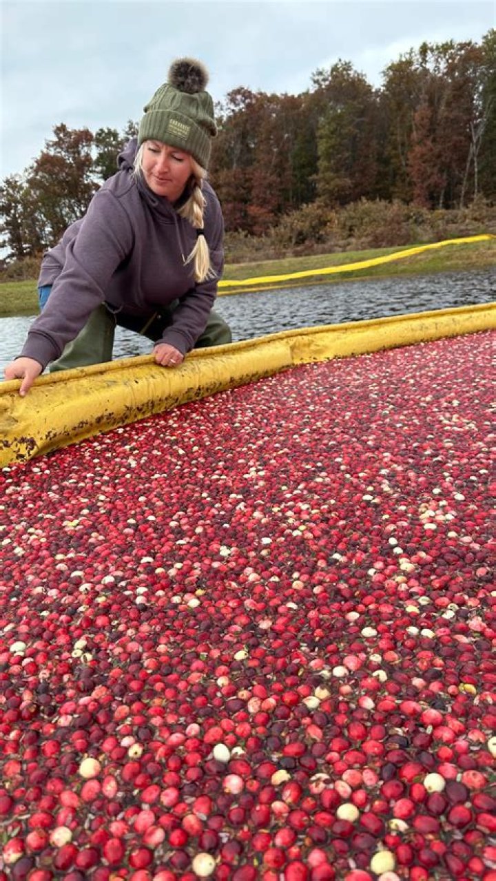 where are cranberries in grocery store