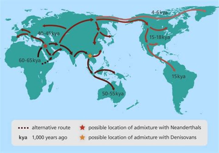 where do scientists believe chemical evolution occurred