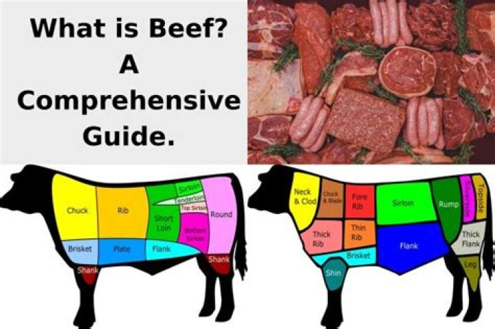 where does hamburger meat come from