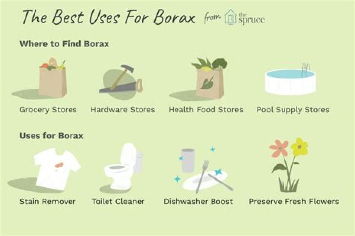 where to buy borax