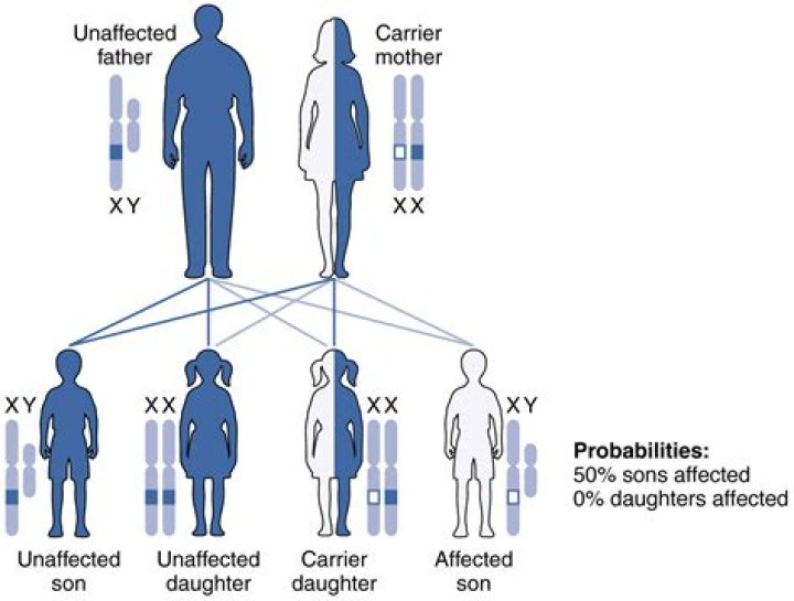 which class cannot be inherited