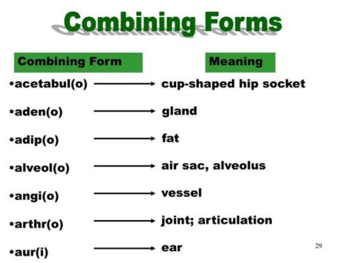 which combining form means lung?