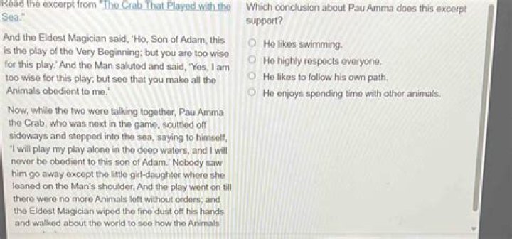 which conclusion about pau amma does this excerpt support