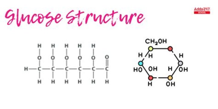 which is a basic unit of a sugar molecule?