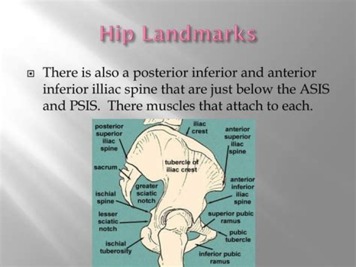 which landmark of the hip bone can be felt on a hard chair?