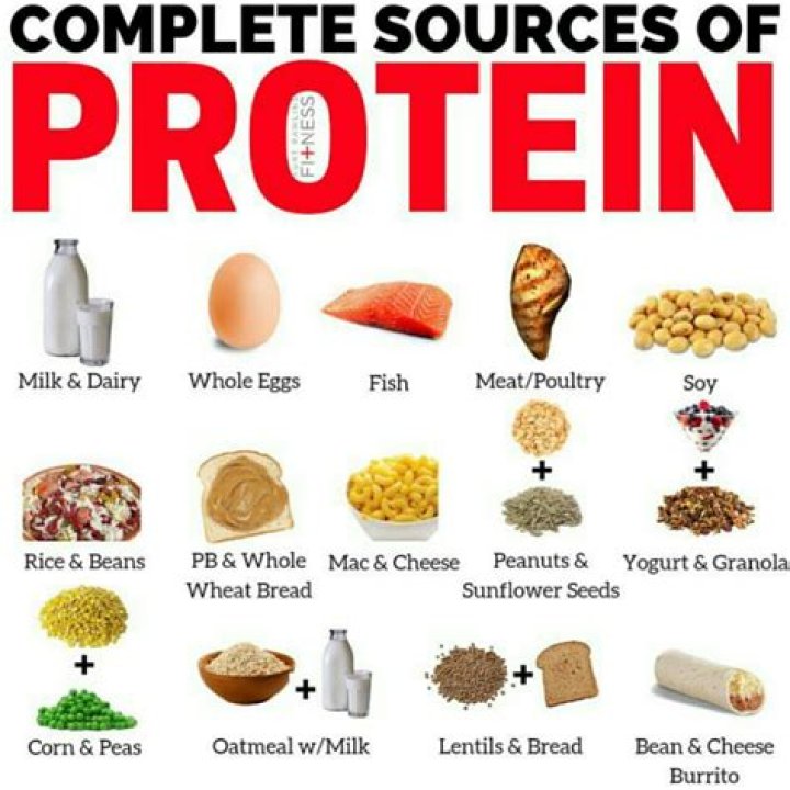 which of the following foods is an example of a complete protein?