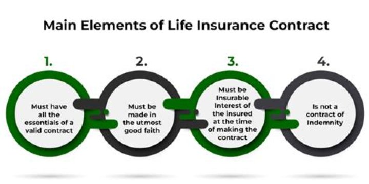 which of the following is an example of liquidity in a life insurance contract
