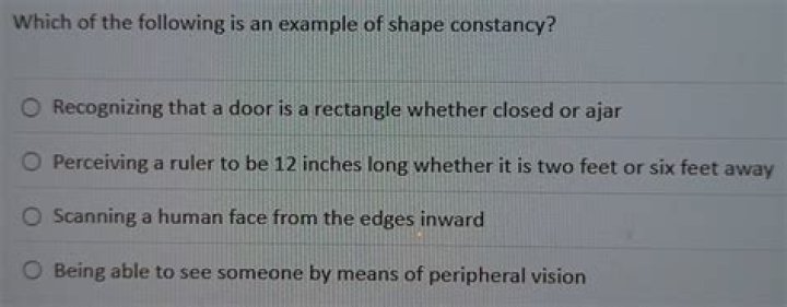 which of the following is an example of shape constancy