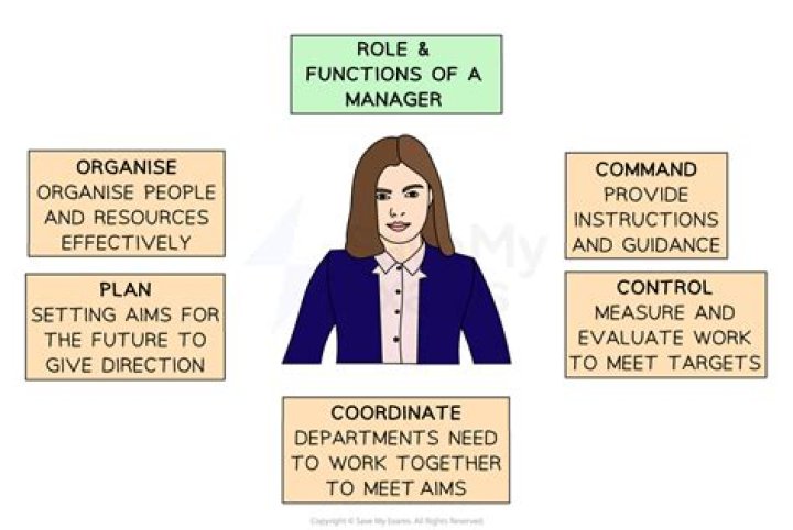 which of the following is the decision role of manager