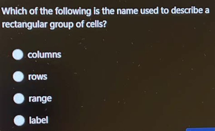 which of the following is the name used to describe a rectangular group of cells?