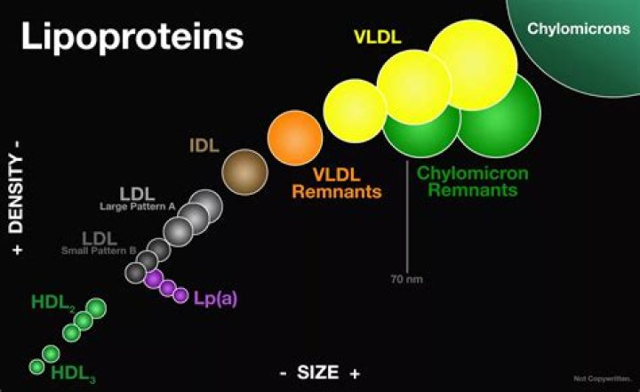 which of the following lipoproteins contains the highest percentage of cholesterol
