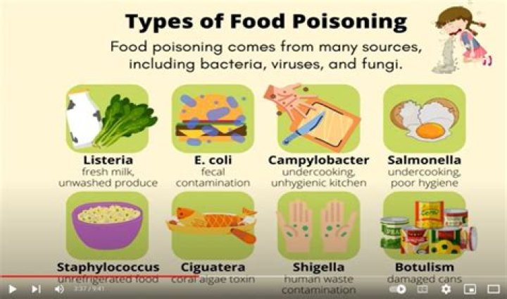 which of the following type of raw meat causes salmonella