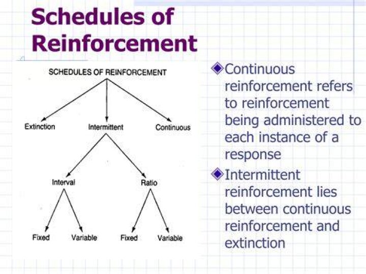 which reinforcement schedule is most resistant to extinction
