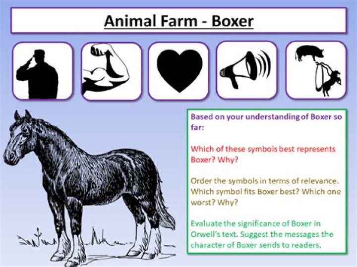 who does boxer represent in animal farm