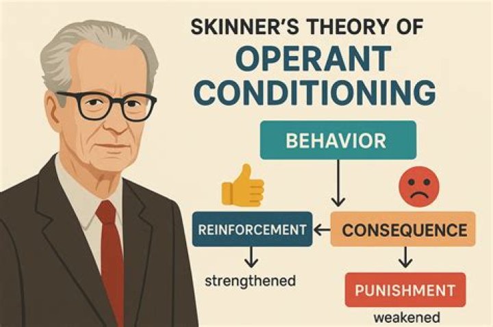 who is the creator of operant conditioning