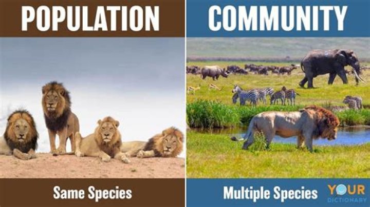 who or what contributes to the control of wildlife populations