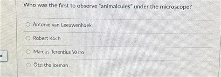 who was the first to observe animalcules under the microscope
