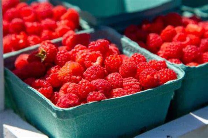 why are raspberries so expensive