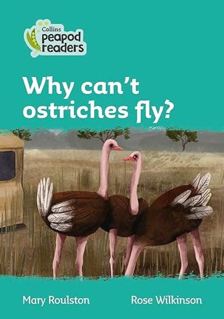 why can t ostriches fly