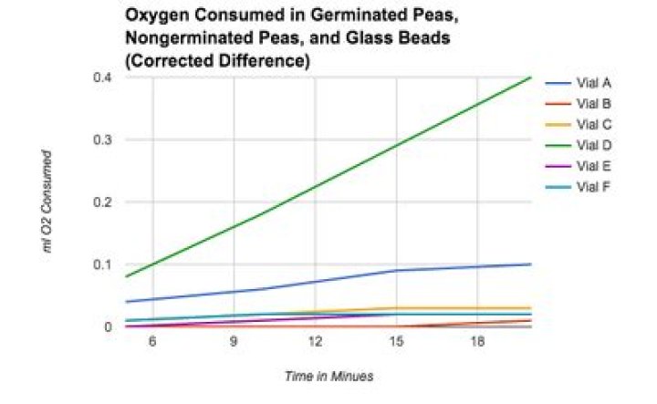 why do germinating peas consume more oxygen