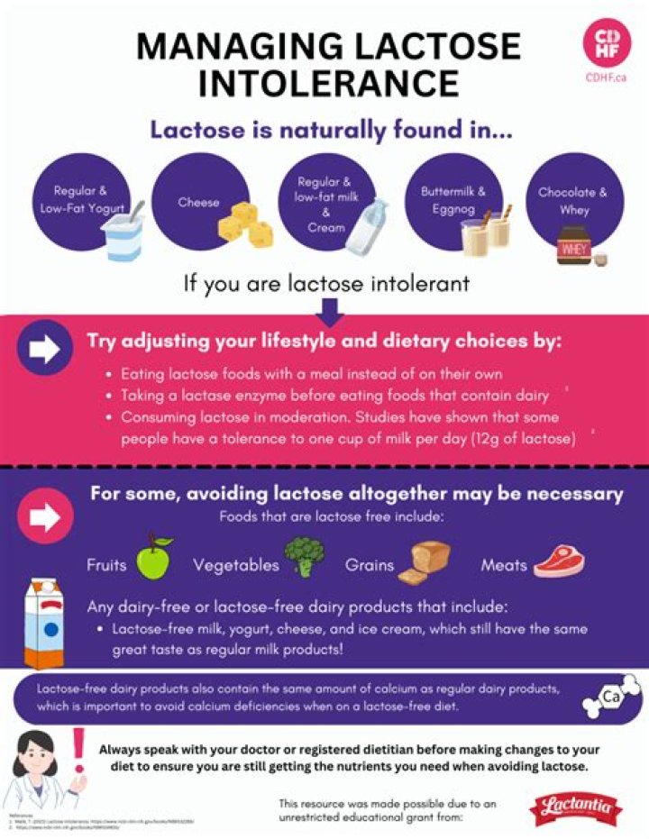 why should we not view lactose intolerance as a disease in adult humans?
