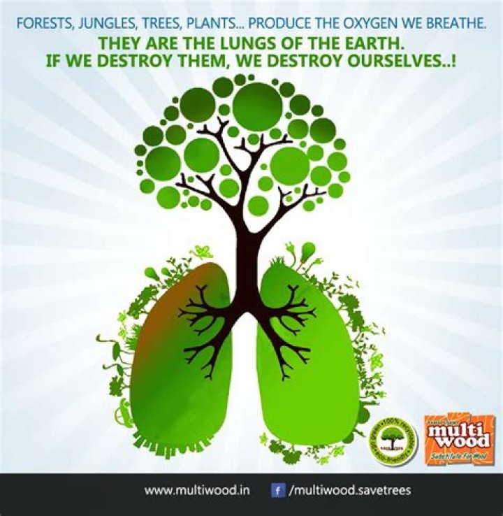 why should we protect plants