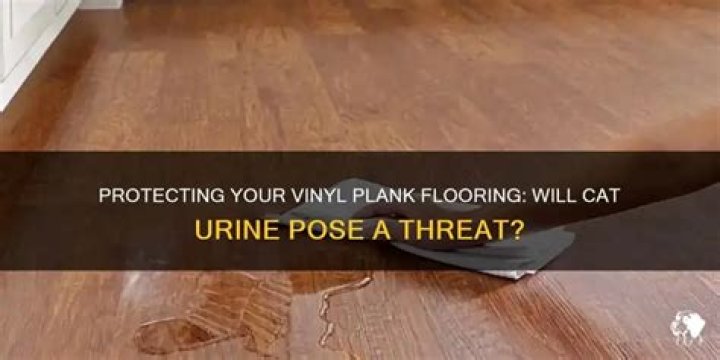 will cat urine ruin vinyl plank flooring