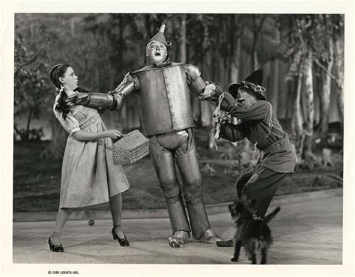 wizard of oz tin man searching for