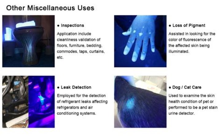 wood’s lamp vs black light