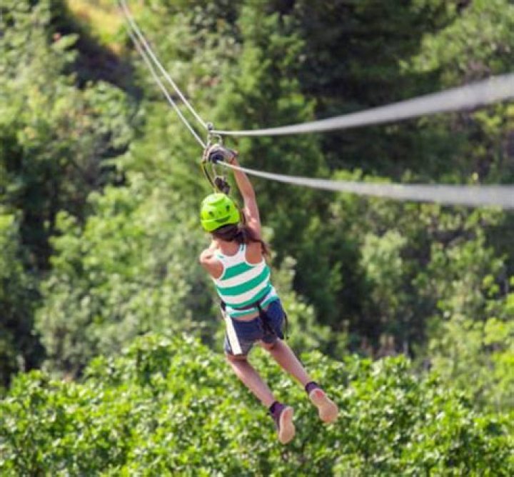 zip line installation cost